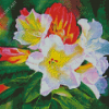 White Red Rhododendron Plants Diamond Painting