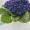 Aesthetic African Violets Diamond Painting