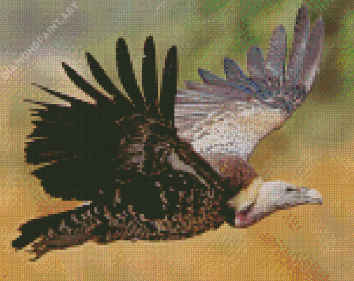 Vulture Art Diamond Painting