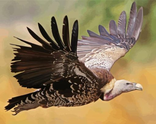 Vulture Art Diamond Painting