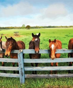 Farm Horses Animals Diamond Painting