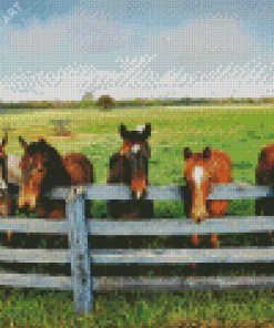 Farm Horses Animals Diamond Painting