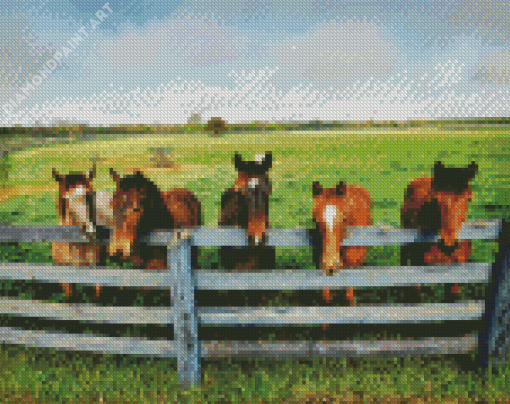 Farm Horses Animals Diamond Painting