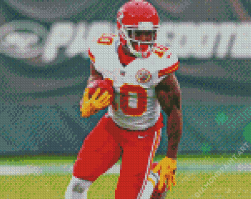 American Football Player Tyreek Hill Diamond Painting