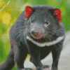 Australian Tasmanian Devil Diamond Painting