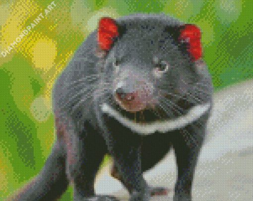 Australian Tasmanian Devil Diamond Painting