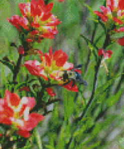 Bee On Indian Paintbrush Diamond Painting