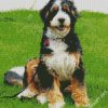 Bernedoodle Dog Diamond Painting