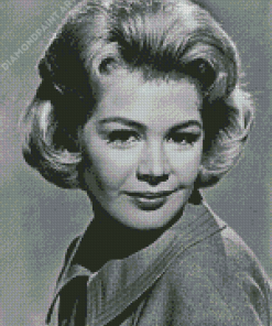 Black And White Sandra Dee Diamond Painting