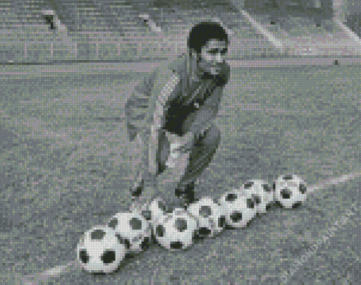 Black And White Eusebio Da Silva Diamond Painting