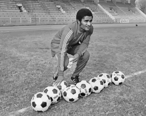 Black And White Eusebio Da Silva Diamond Painting