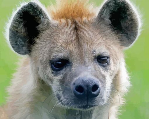 Close Up Spotted Hyena Face Diamond Painting