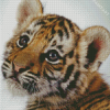 Cute Baby Tiger Diamond Painting