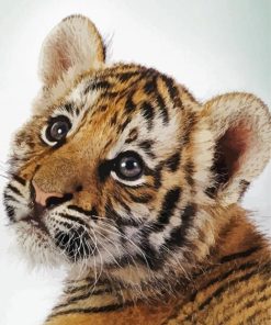 Cute Baby Tiger Diamond Painting