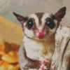 Cute Sugar Glider Animal Diamond Painting