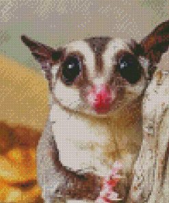 Cute Sugar Glider Animal Diamond Painting