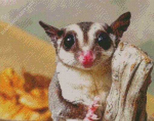 Cute Sugar Glider Animal Diamond Painting