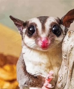 Cute Sugar Glider Animal Diamond Painting