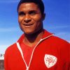 Eusebio Da Silva Player Diamond Painting