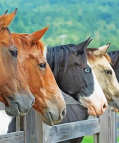 Five Horses Animals Diamond Painting