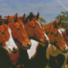 Five Horses Diamond Painting