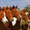 Five Horses Diamond Painting