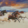 Five Horses In Desert Diamond Painting