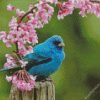 Indigo Bunting And Flowers Diamond Painting