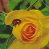 Ladybug On A Yellow Rose Diamond Painting