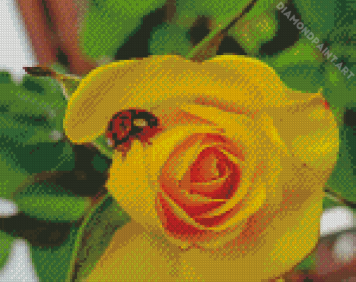 Ladybug On A Yellow Rose Diamond Painting