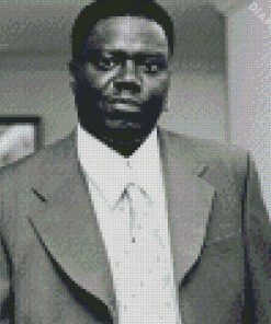 Monochrome Bernie Mac Diamond Painting