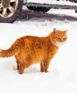 Orange Fluffy Cat In Snow Diamond Painting