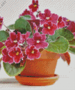 Pink African Violets Diamond Painting