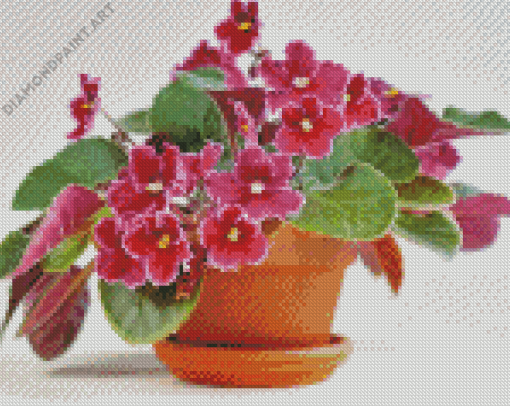 Pink African Violets Diamond Painting