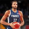 Rudy Gobert French Basketballer Diamond Painting