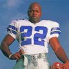 The Emerican Footballer Emmitt Smith Diamond Painting