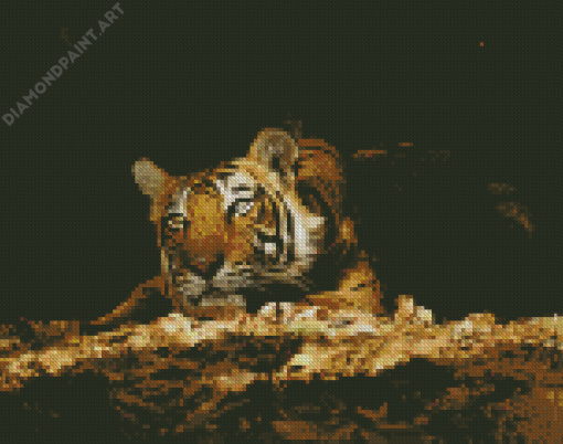 Wild Tiger In The Night Diamond Painting