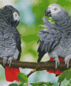 African Grey Parrots On Stick Diamond Painting