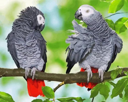 African Grey Parrots On Stick Diamond Painting