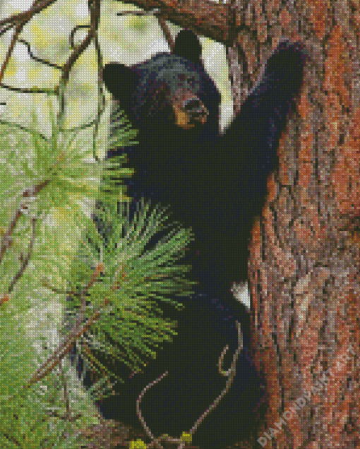 Bear Tree Diamond Painting