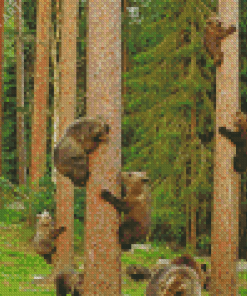 Bears Trees Climbers Diamond Painting