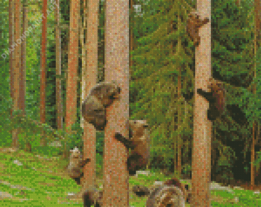 Bears Trees Climbers Diamond Painting