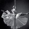 Black And White Pole Dancer Diamond Painting