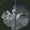 Black And White Pole Dancer Diamond Painting