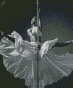 Black And White Pole Dancer Diamond Painting