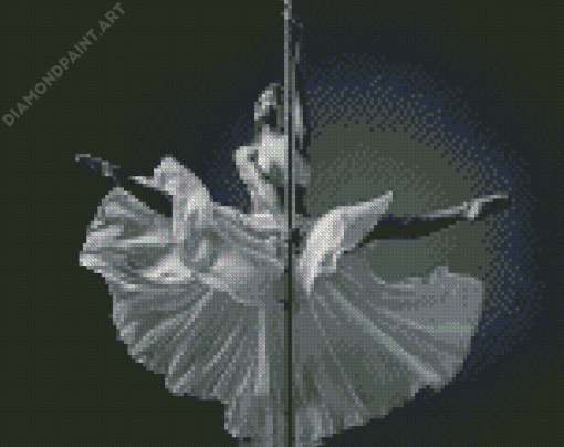 Black And White Pole Dancer Diamond Painting