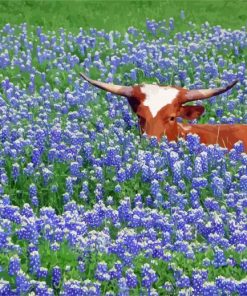 Bluebonnet And Longhorn Diamond Painting