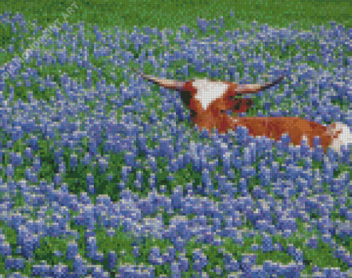 Bluebonnet And Longhorn Diamond Painting