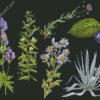 Botanical Plants Diamond Painting