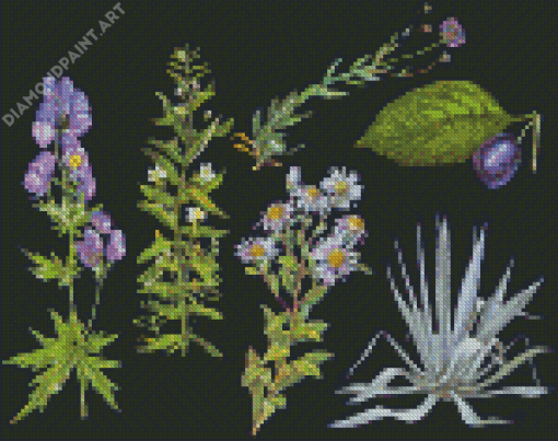 Botanical Plants Diamond Painting